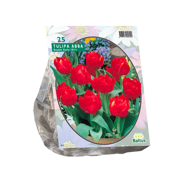 Tulipa Dubbel Vroeg Abba per 20