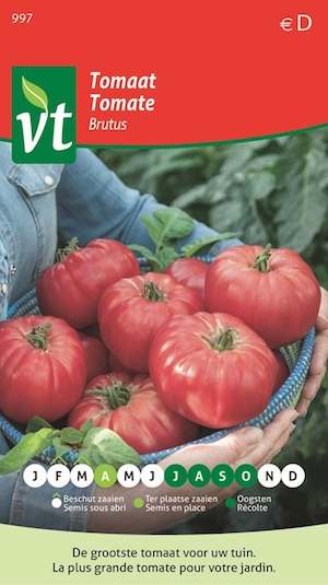 tomaat XL ronde vleestomaat (Tomaat brutus)