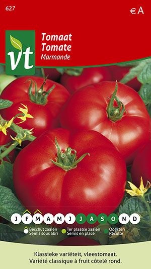 tomaat grote vleestomaat (Marmande)