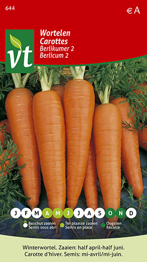wortelen grove wortel winter (Berlikumer 2)