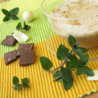 chocolademunt (Mentha-Piperita)
