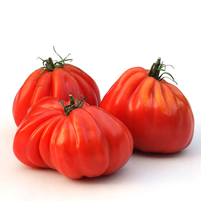 tomaat-ossenhart-(Solanum-lycopersicum-Coeur-de-Boeuf)