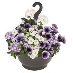 hangpot-mix-met-zomerbloeiers-confetti-garden-party-blue-bird-lights