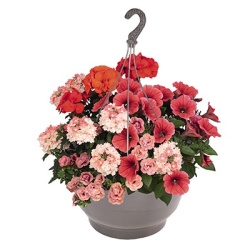 hangpot-mix-met-zomerbloeiers-confetti-garden-party-orange-lights