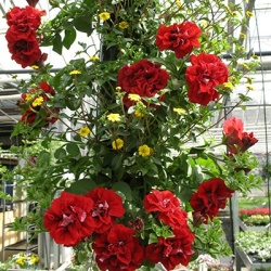 hangzakken-met-bloemen-0