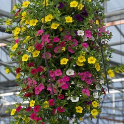 hangzakken-met-bloemen-11_1578128590