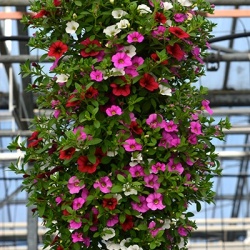 hangzakken-met-bloemen-13_448307581