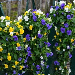 hangzakken-met-bloemen-19