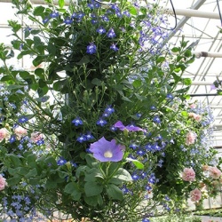 hangzakken-met-bloemen-30