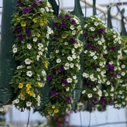 hangzakken-met-bloemen-9