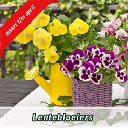 lentebloeiers