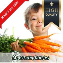 moestuinplantjes