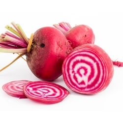 rode-biet-beta-vulgaris-chioggia