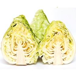 spitskool-brassica-oleracea-var-capitata2