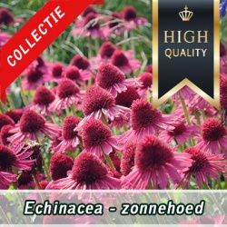 zonnehoed