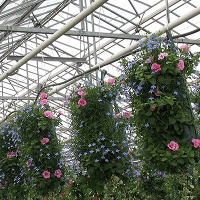 hangzakken-met-bloemen-28