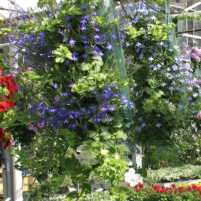 hangzakken-met-bloemen-32