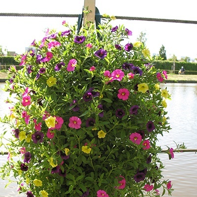 hangzakken-met-bloemen-35