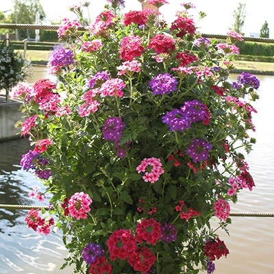 hangzakken-met-bloemen-39