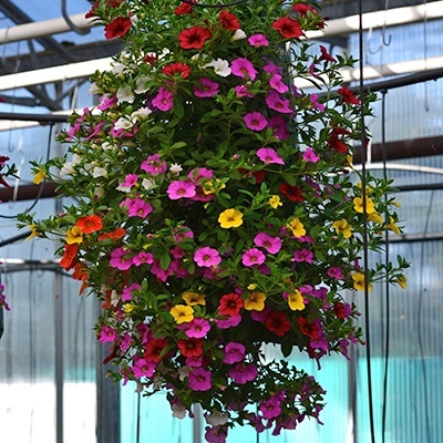 hangzakken-met-bloemen-6