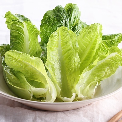 little-gem-sla--romeinse-baby-sla-lactuca-sativa-