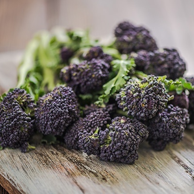 spruitbroccoli-brassica-oleracea-var-italica