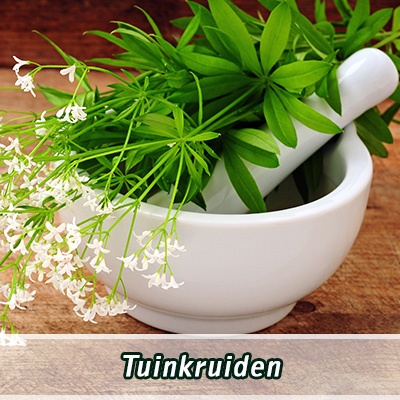 tuinkruiden