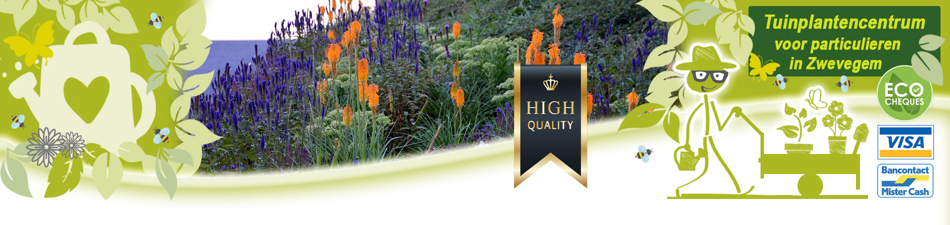 prairietuin planten kopen